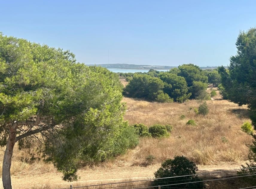 2 bedroom Bungalow for sale in El Chaparral with pool - € 126,000 (Ref: 9961688)