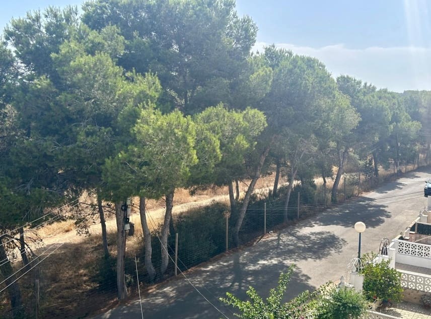 2 bedroom Bungalow for sale in El Chaparral with pool - € 126,000 (Ref: 9961688)