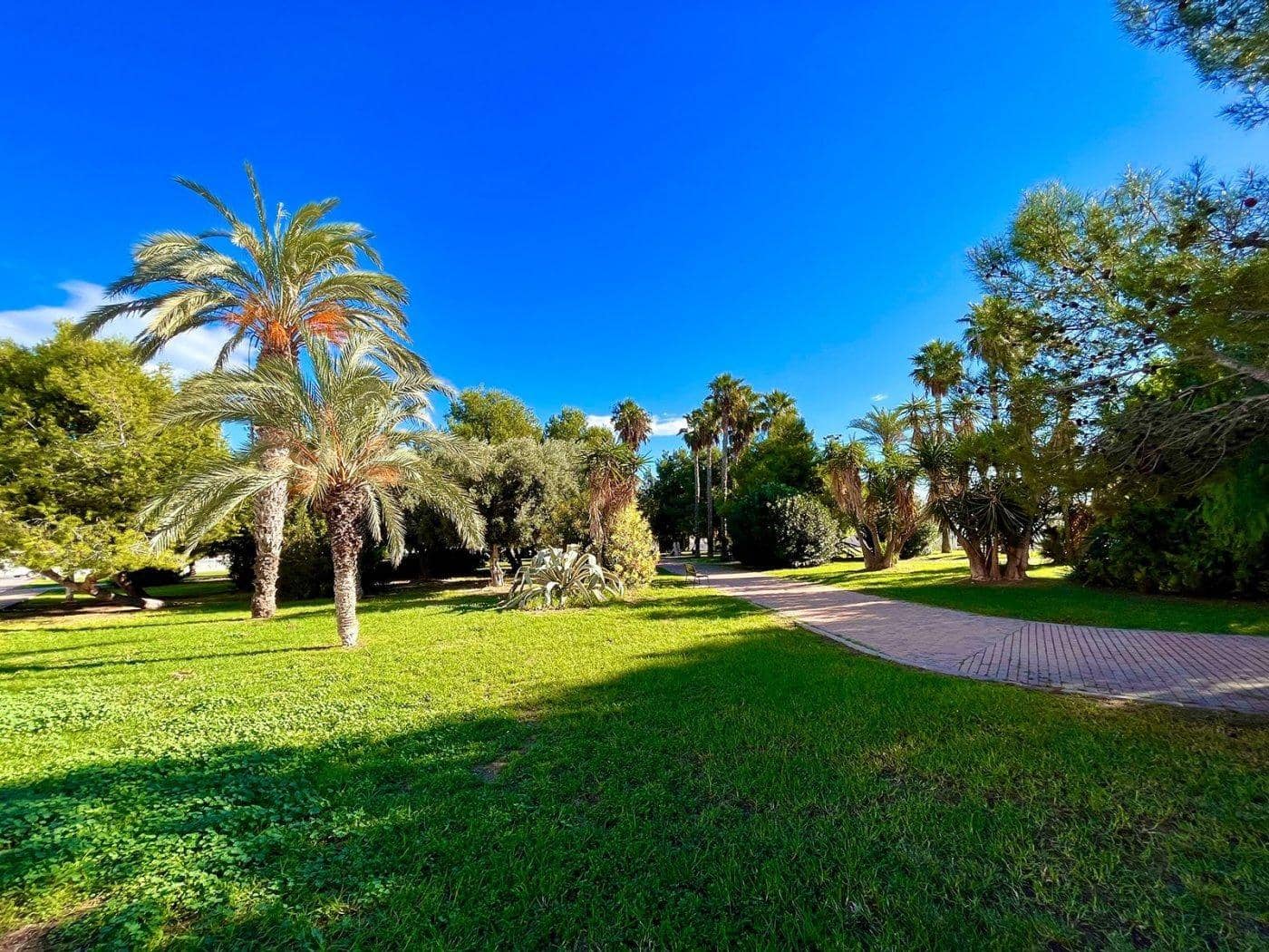 6 soverom Rekkehus til salgs i Torrevieja med svømmebasseng - € 179 000 (Ref: 8783210)