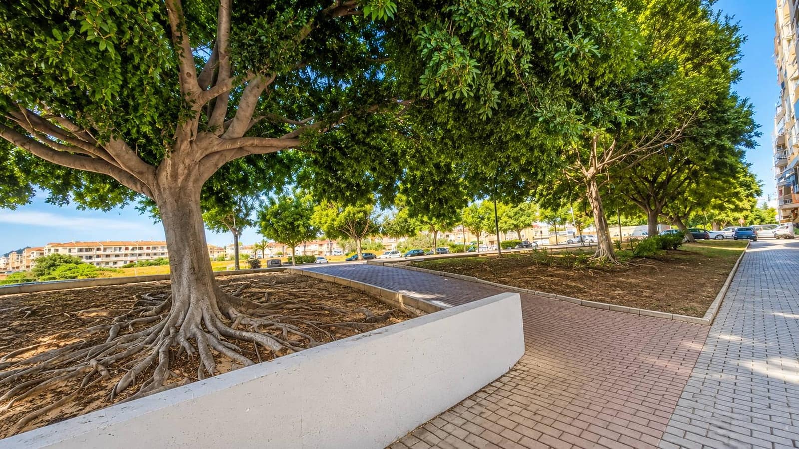 3 Zimmer Apartment zu verkaufen in Torrevieja - 249.000 € (Ref: 10019625)