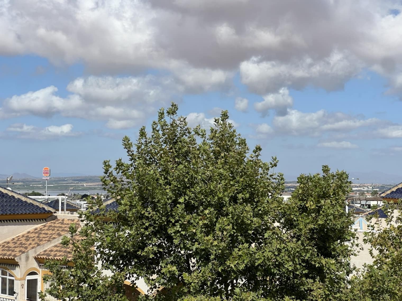 Comercial para venda em Torrevieja - 1 000 000 € (Ref: 10032830)