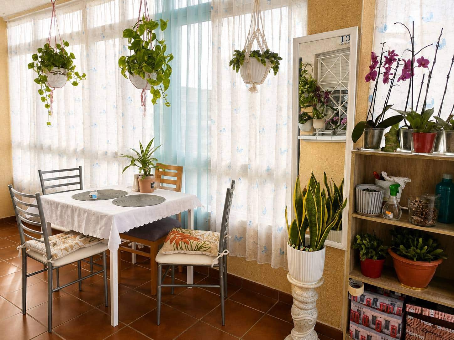 2 bedroom Bungalow for sale in Torrevieja - € 179,500 (Ref: 10032844)
