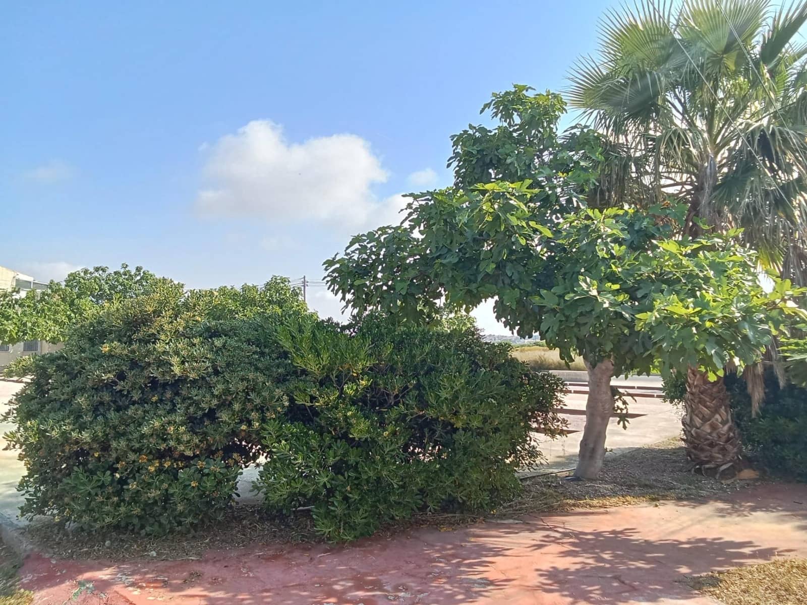 Bungalow de 2 habitaciones en Torrevieja en venta - 156.000 € (Ref: 10032877)
