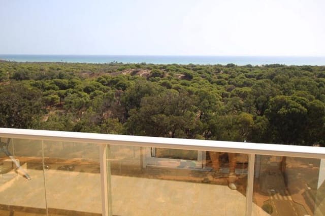 Apartamento de 3 habitaciones en El Edén, Guardamar del Segura en venta - 260.000 € (Ref: 10051884)