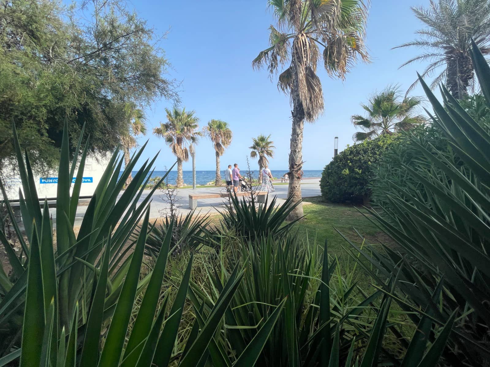 Local Comercial de 2 habitaciones en Torrevieja en venta - 315.000 € (Ref: 10059360)