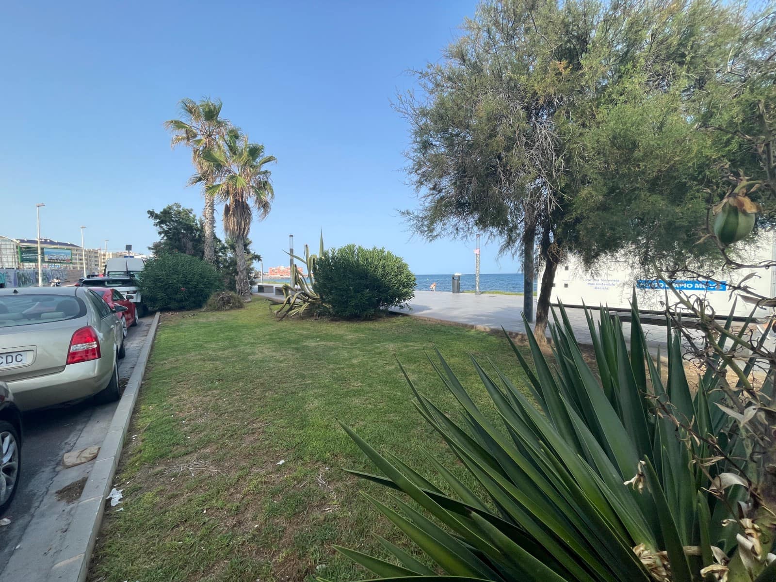 Local Comercial de 2 habitaciones en Torrevieja en venta - 315.000 € (Ref: 10059360)