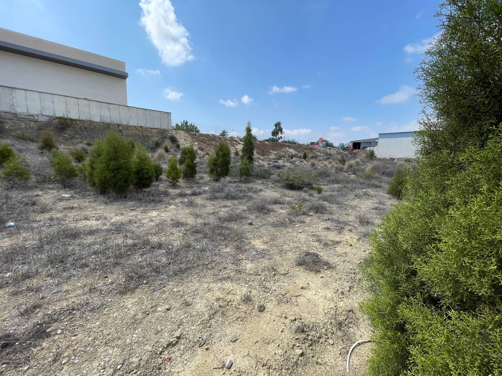Tomt till salu i Rojales - 330 000 € (Ref: 10059364)