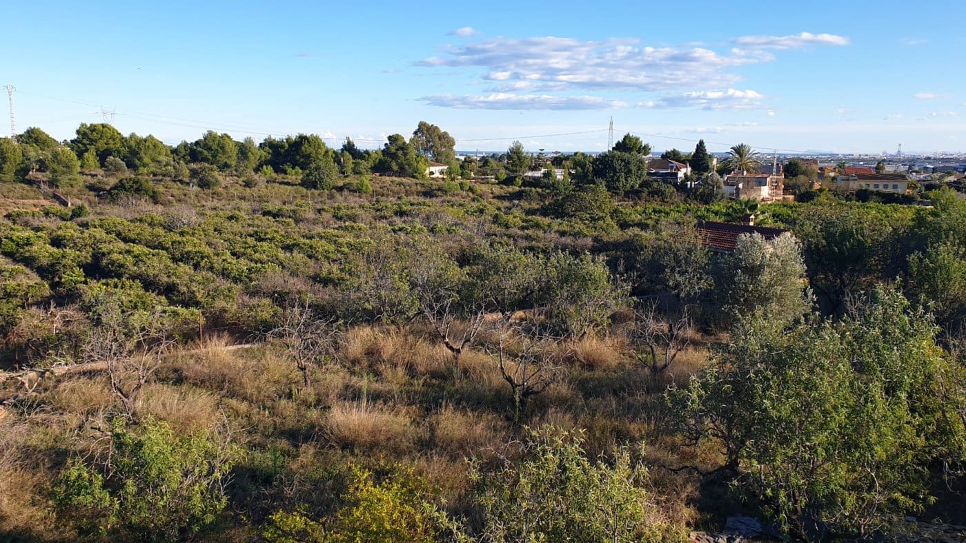 Bauplatz zu verkaufen in Naquera - 1.150.000 € (Ref: 10074531)