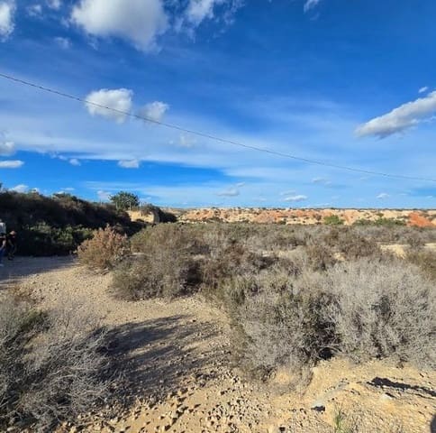 Terre non Aménagée à vendre à Crevillente / Crevillent - 80 000 € (Ref: 10074595)