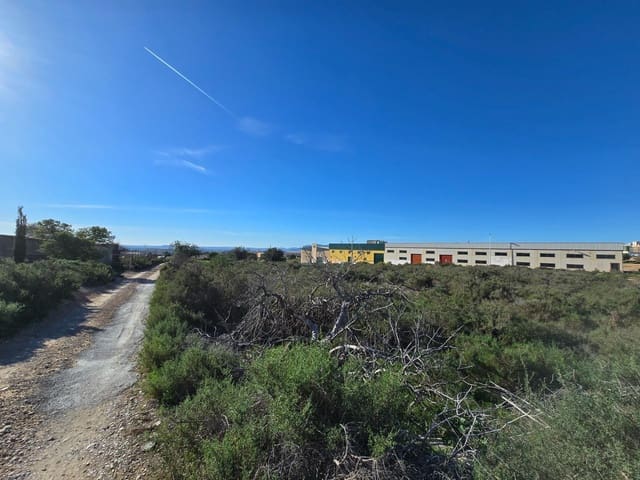 Terre non Aménagée à vendre à Crevillente / Crevillent - 80 000 € (Ref: 10074595)