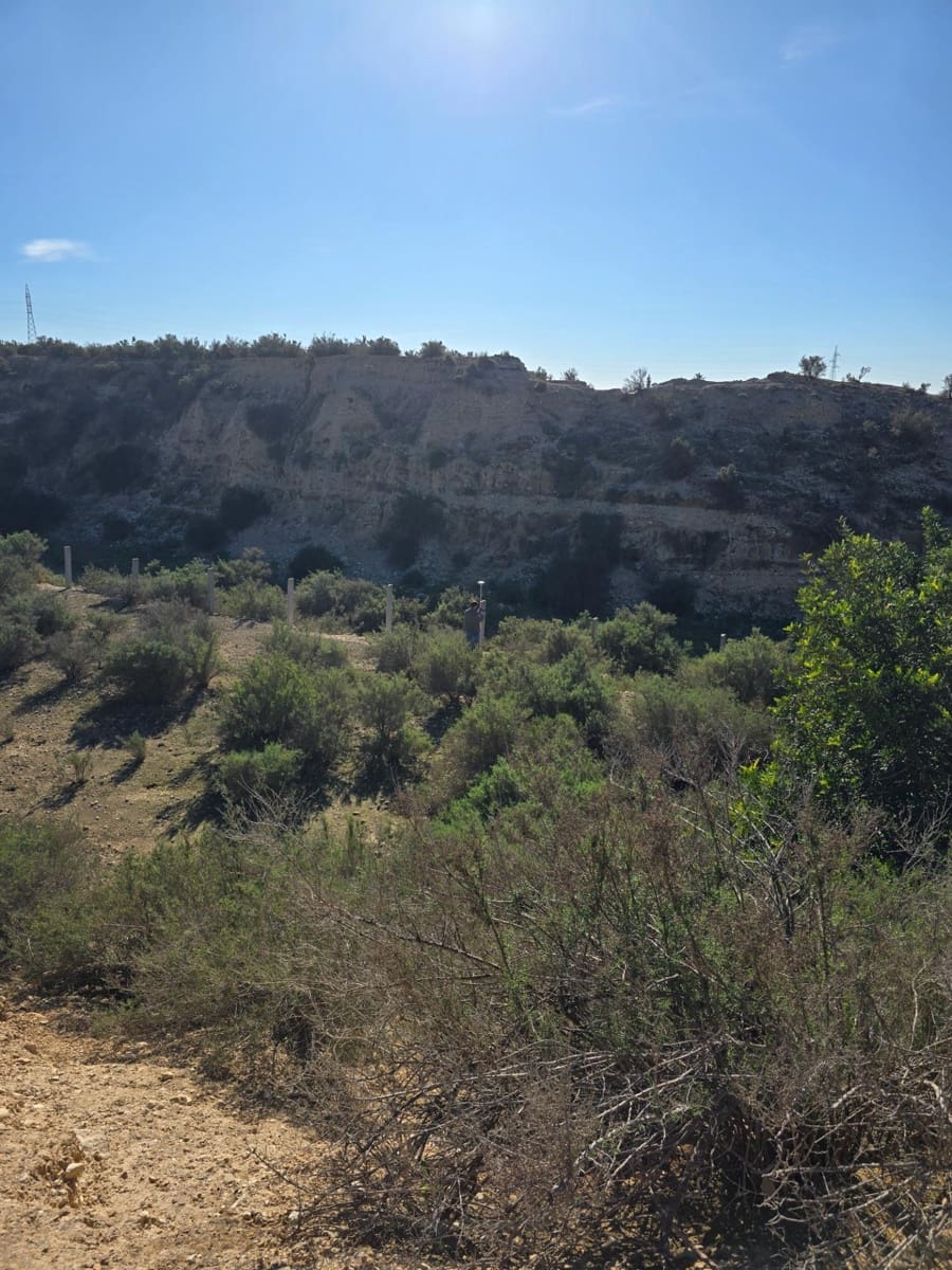 Terre non Aménagée à vendre à Crevillente / Crevillent - 80 000 € (Ref: 10074595)