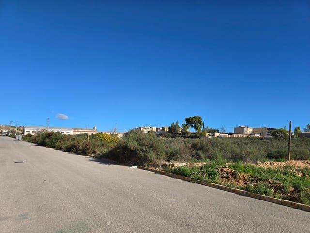 Terre non Aménagée à vendre à Crevillente / Crevillent - 80 000 € (Ref: 10074595)