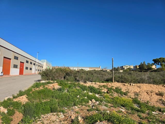 Terre non Aménagée à vendre à Crevillente / Crevillent - 80 000 € (Ref: 10074595)