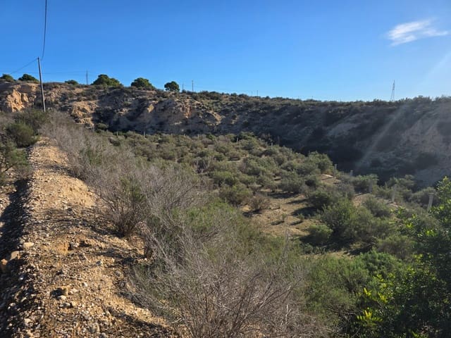Terre non Aménagée à vendre à Crevillente / Crevillent - 80 000 € (Ref: 10074595)