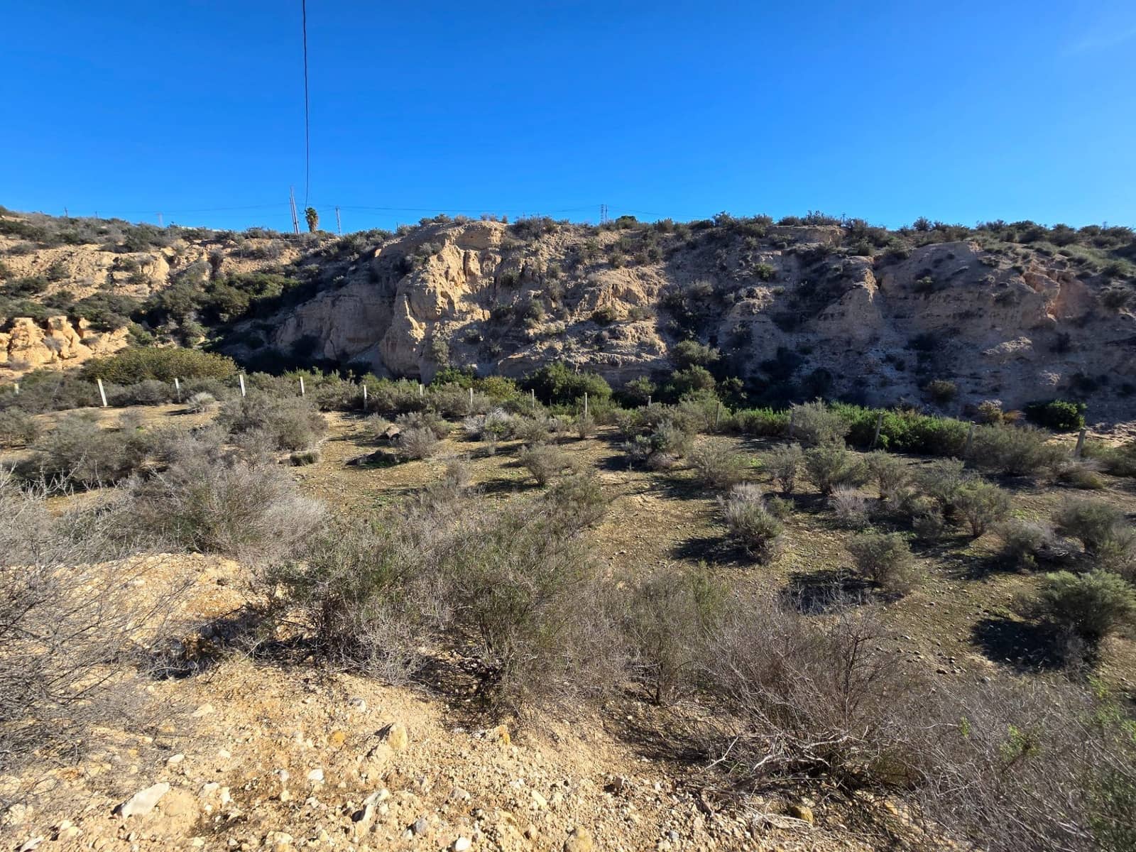 Terre non Aménagée à vendre à Crevillente / Crevillent - 80 000 € (Ref: 10074595)