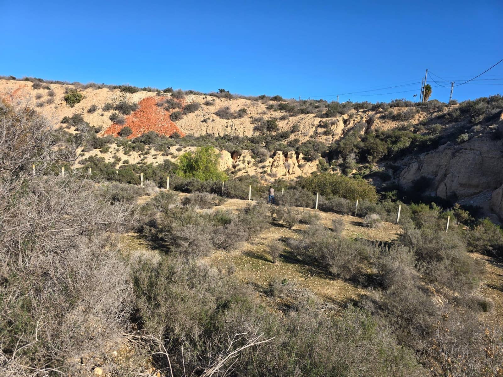 Terre non Aménagée à vendre à Crevillente / Crevillent - 80 000 € (Ref: 10074595)