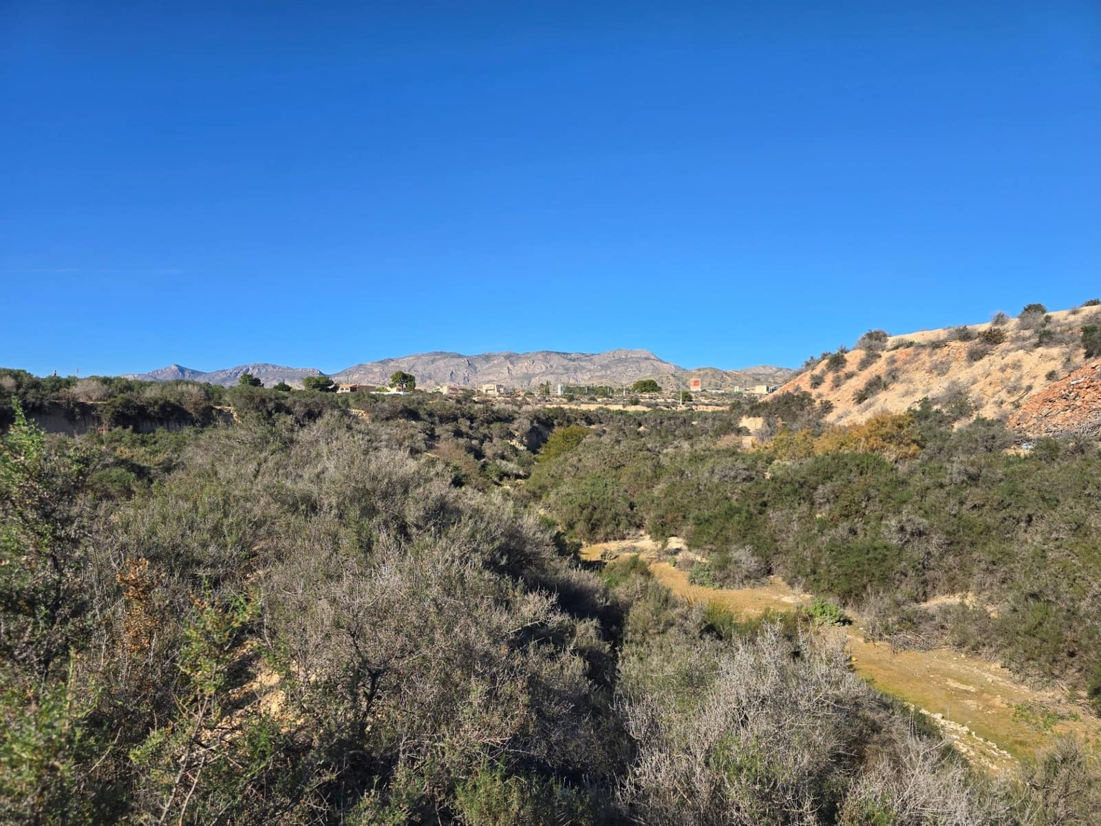 Terre non Aménagée à vendre à Crevillente / Crevillent - 80 000 € (Ref: 10074595)