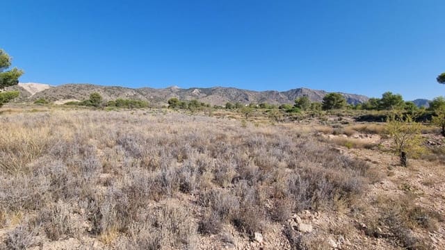 Undeveloped Land for sale in Abanilla - € 150,000 (Ref: 10074596)