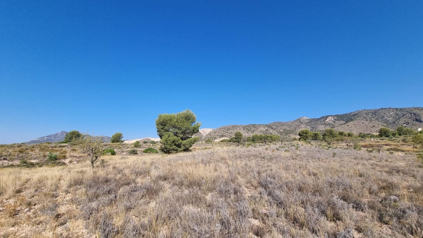 Grond te koop in Abanilla - € 150.000 (Ref: 10074596)