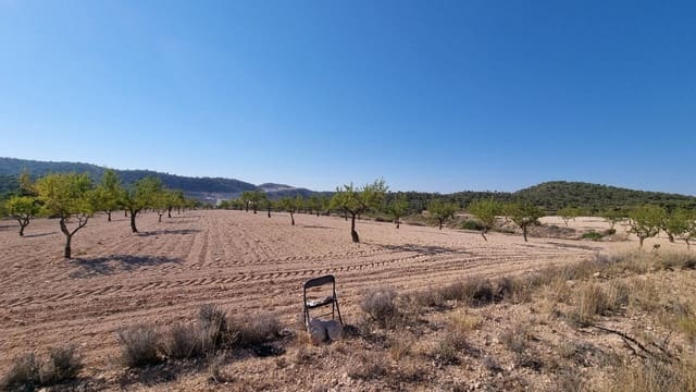 Undeveloped Land for sale in Abanilla - € 150,000 (Ref: 10074596)
