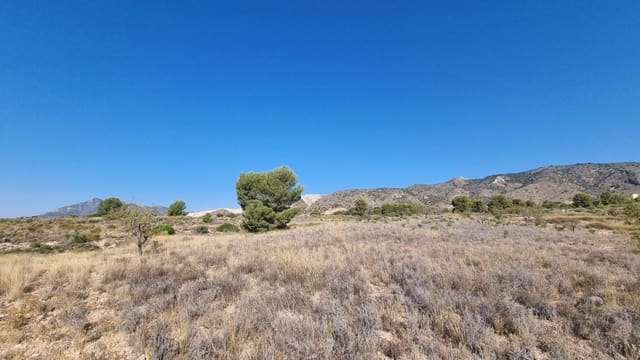 Undeveloped Land for sale in Abanilla - € 150,000 (Ref: 10074596)