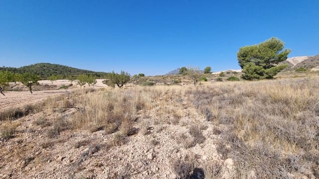 Undeveloped Land for sale in Abanilla - € 150,000 (Ref: 10074596)