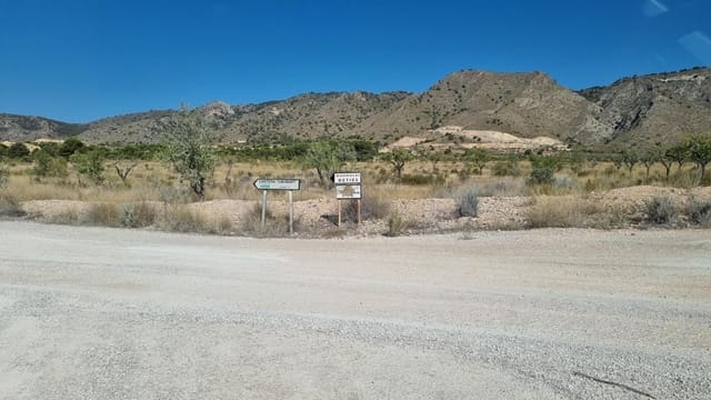 Undeveloped Land for sale in Abanilla - € 150,000 (Ref: 10074596)
