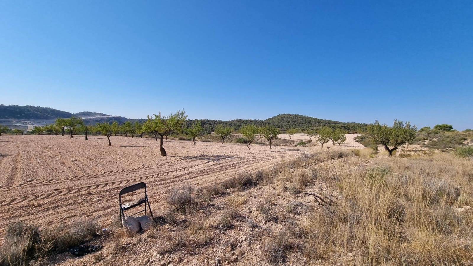 Grond te koop in Abanilla - € 150.000 (Ref: 10074596)