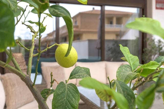 3 soveværelse Lejlighed til salg i San Pedro del Pinatar ciudad, San Pedro del Pinatar - € 287.500 (Ref: 10086405)