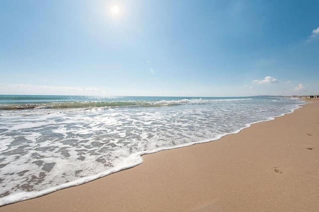 4 chambre Villa/Maison à vendre à La Marina, Elche / Elx avec piscine - 632 000 € (Ref: 8536709)