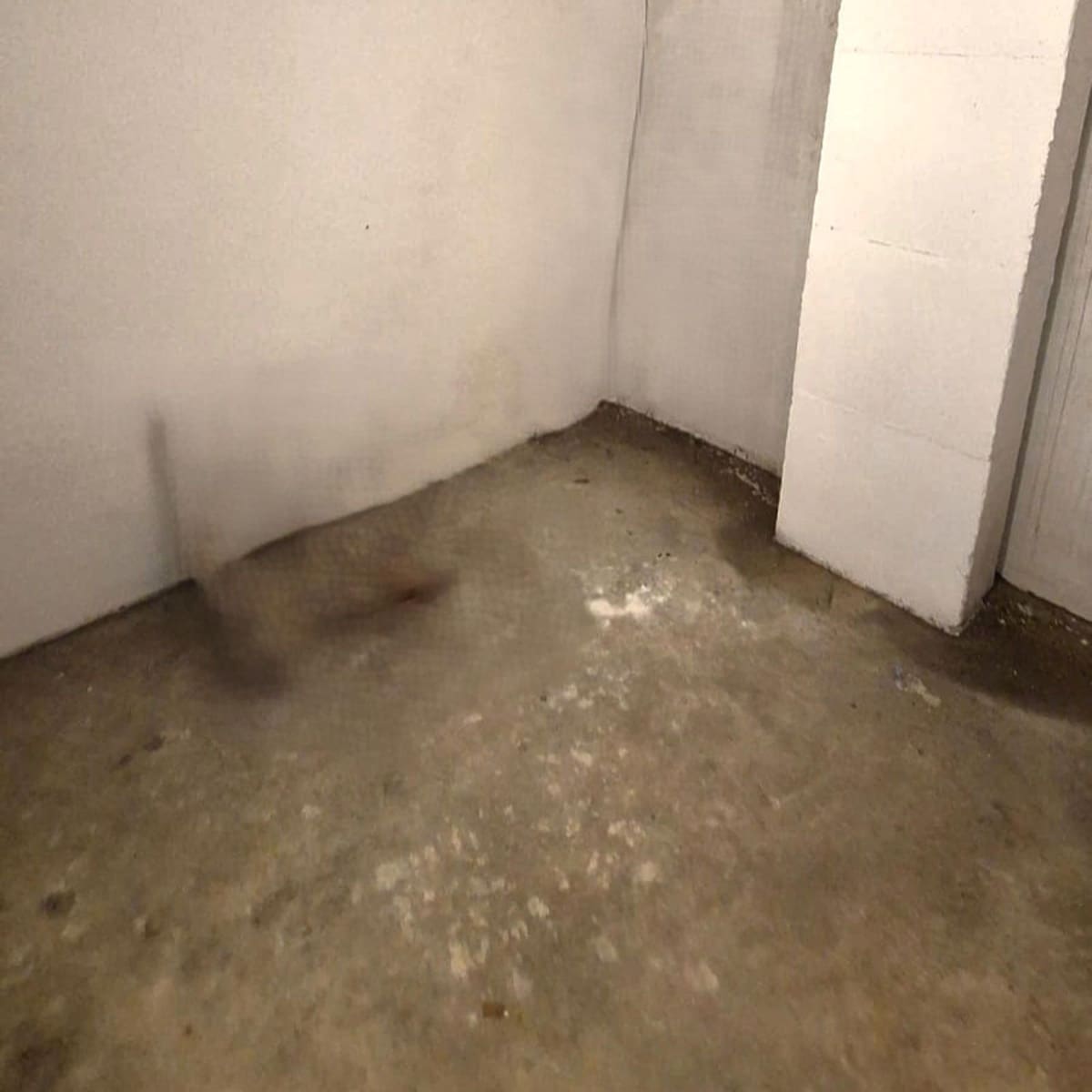 2 soveværelse Lejlighed til salg i Torrevieja med garage - € 127.900 (Ref: 9237643)