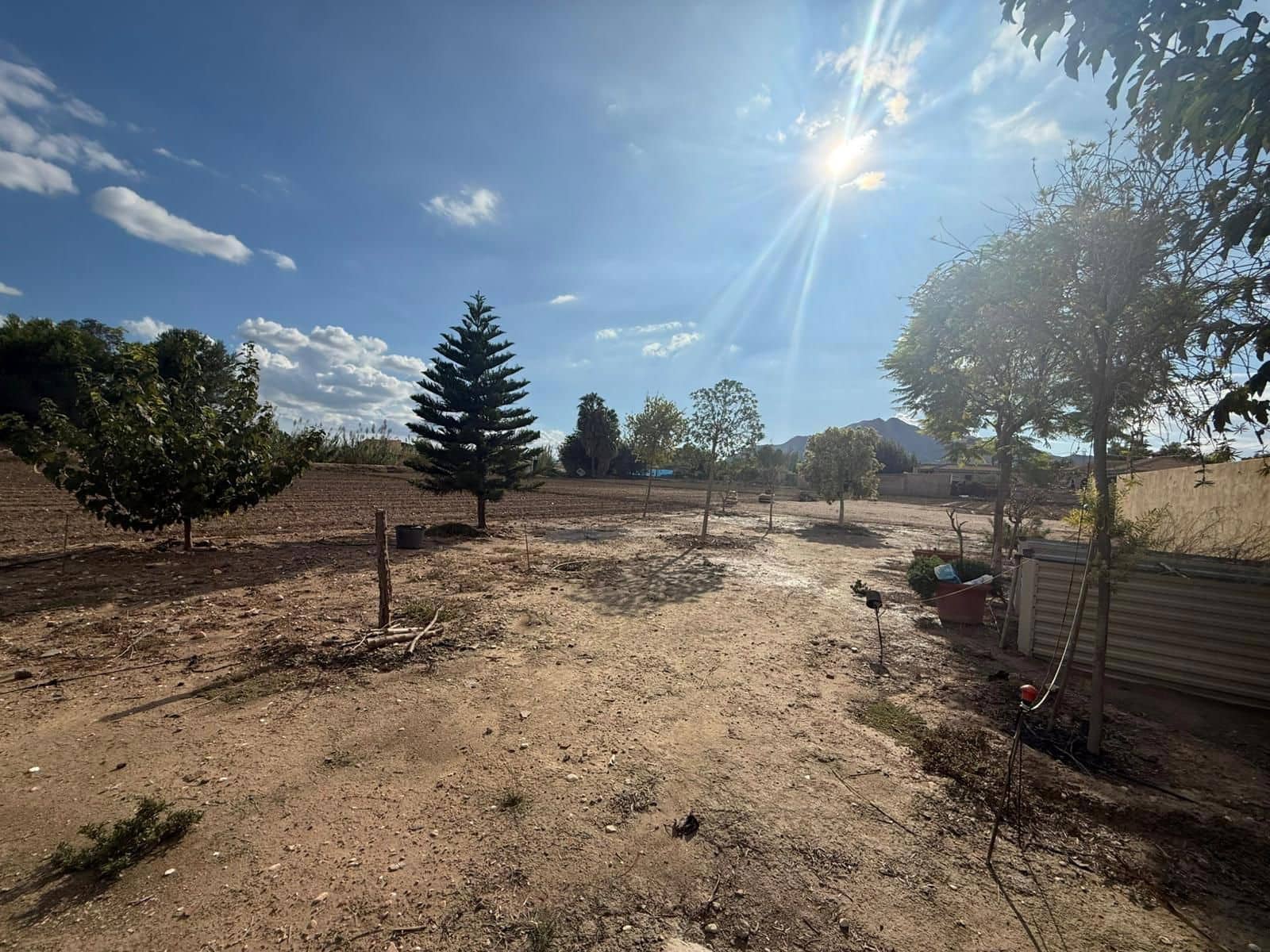 3 bedroom Villa for sale in Catral with pool garage - € 399,000 (Ref: 9293494)