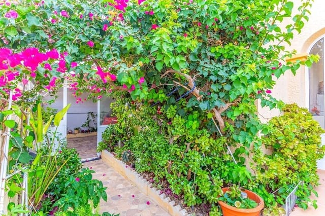 3 Zimmer Villa zu verkaufen in La Zenia, Orihuela mit Pool Garage - 299.000 € (Ref: 9295871)