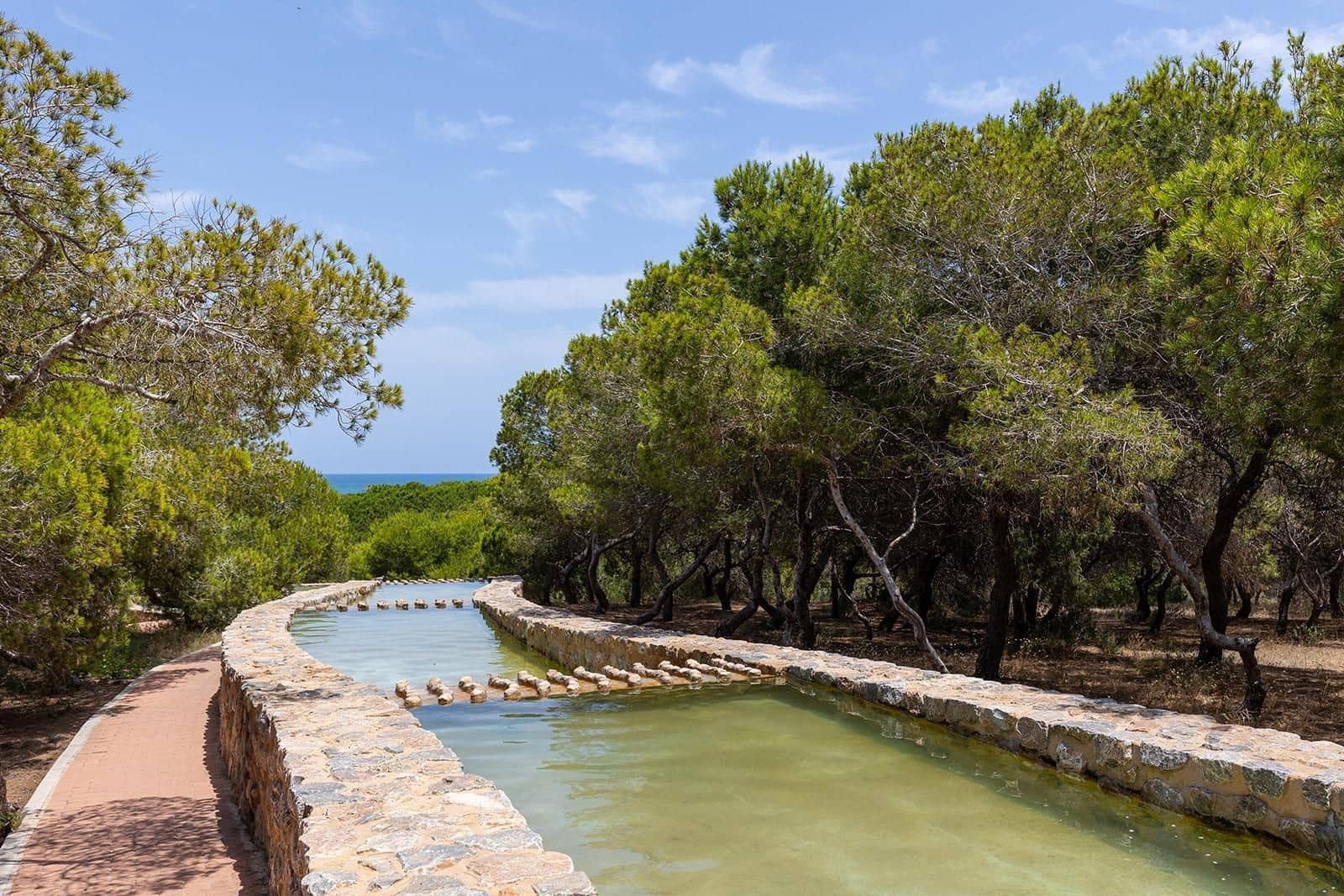 2 quarto Moradia para venda em La Mata com piscina - 255 000 € (Ref: 9419445)