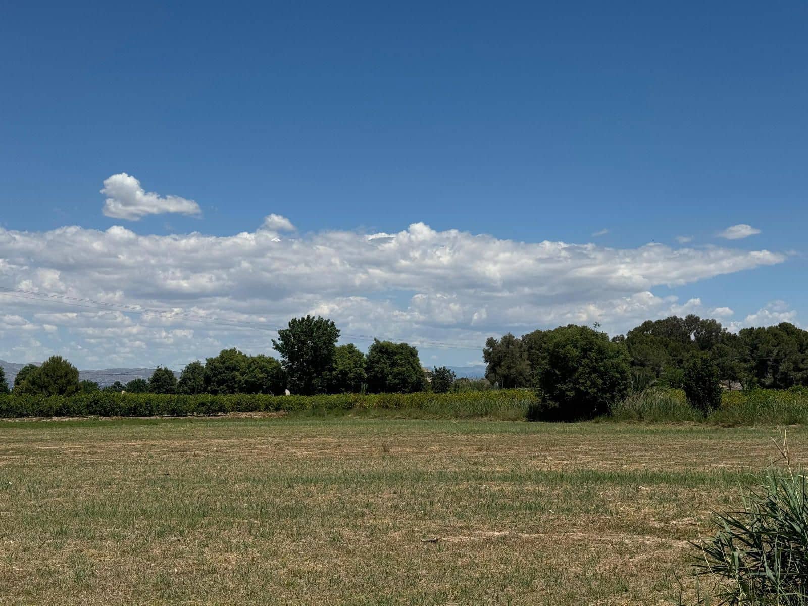 2 chambre Appartement à vendre à Almoradi avec piscine garage - 126 000 € (Ref: 9449617)