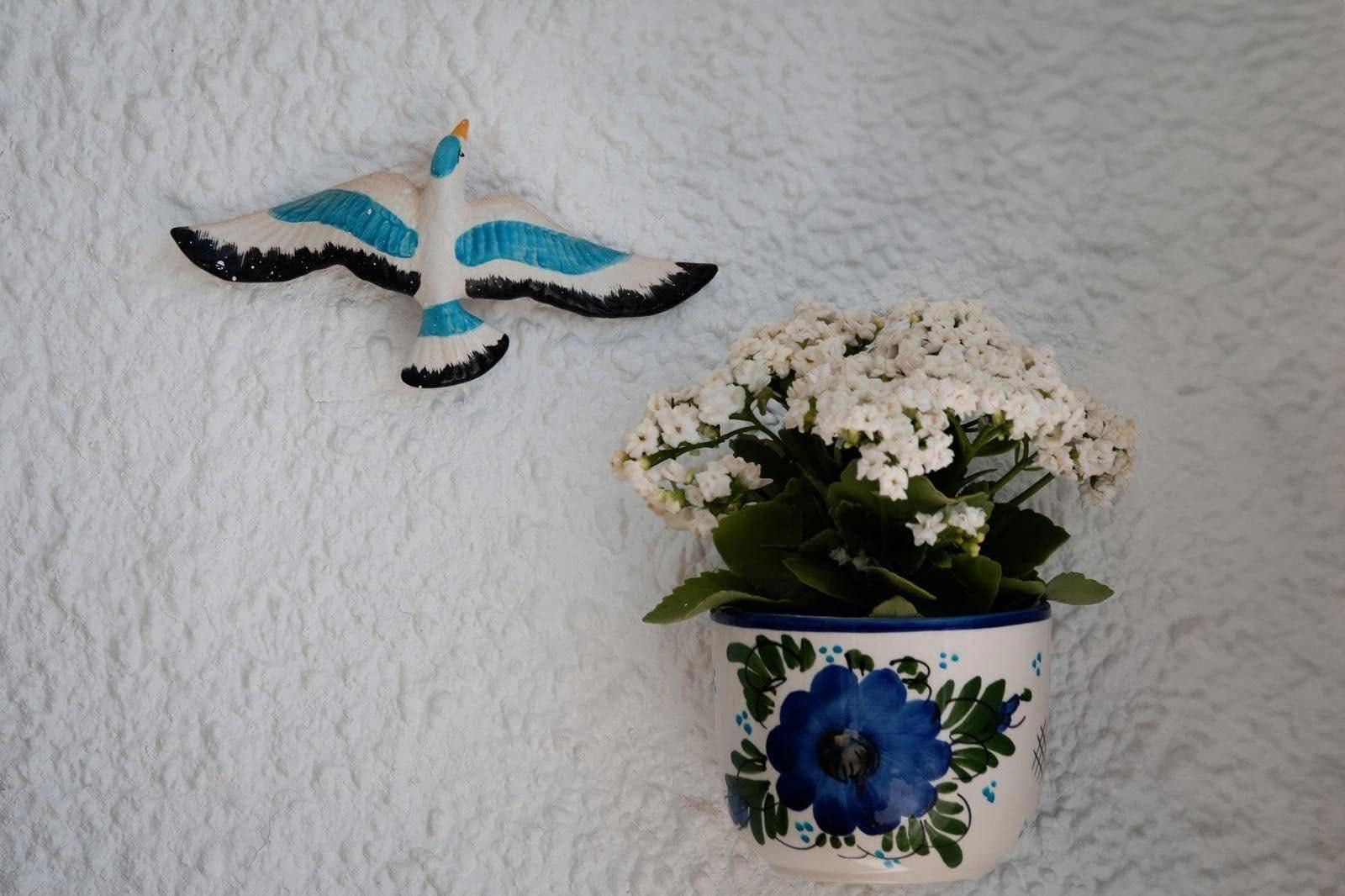 1 chambre Villa/Maison à vendre à Cabo Cervera - 145 000 € (Ref: 9449621)