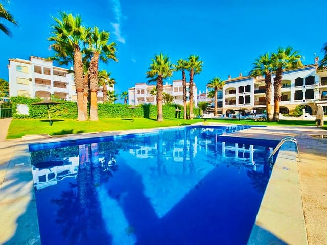 1 chambre Appartement à vendre à Villamartin, Orihuela avec piscine - 155 000 € (Ref: 9508002)