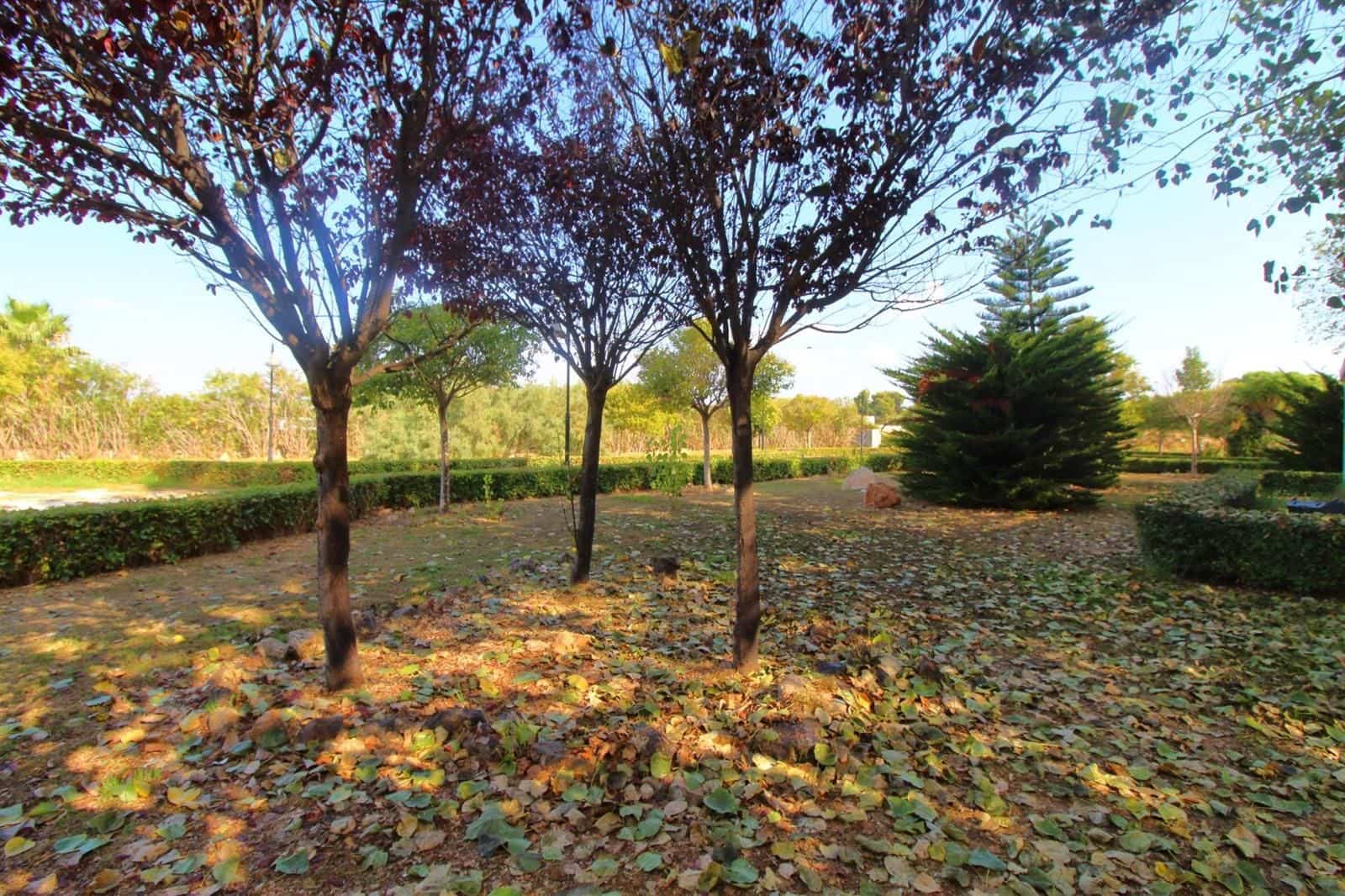 Flat for sale in Torrevieja with pool - € 98,000 (Ref: 9699308)