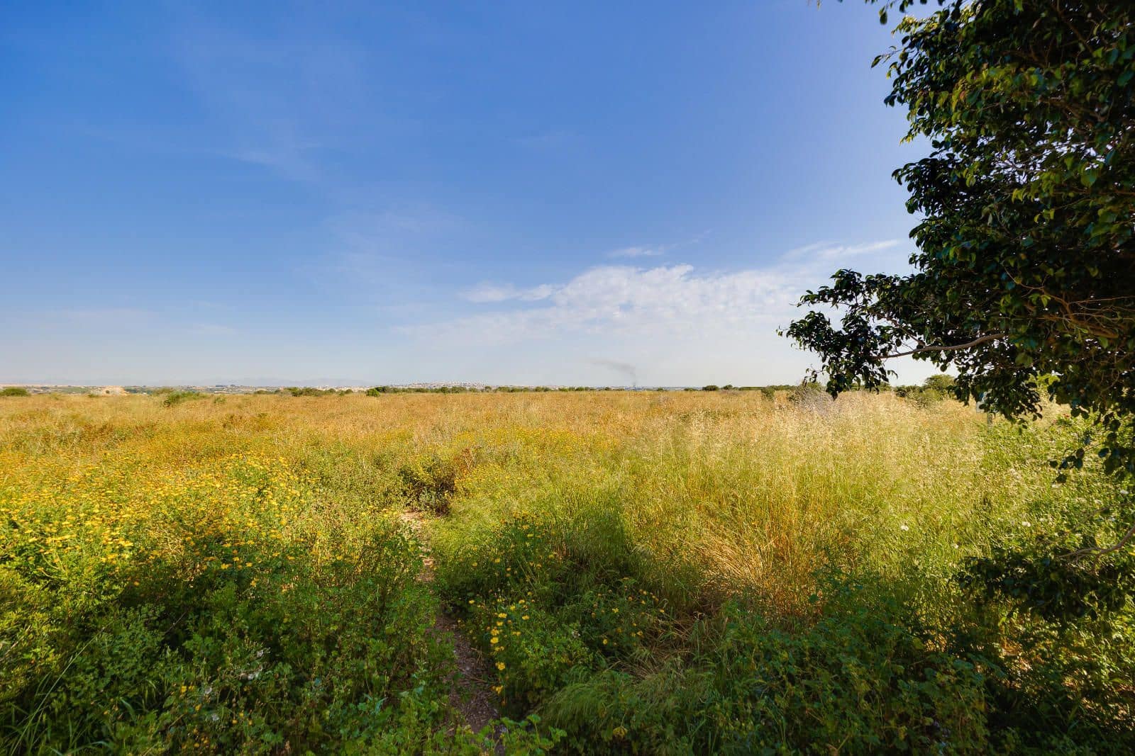 2 Zimmer Villa zu verkaufen in San Luis mit Pool - 149.969 € (Ref: 9795410)