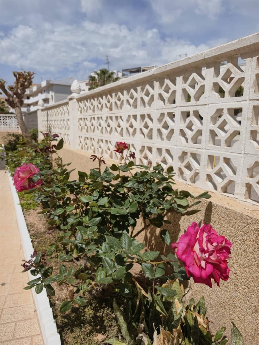 2 soverom Leilighet til salgs i Torrevieja med svømmebasseng garasje - € 169 900 (Ref: 9909004)
