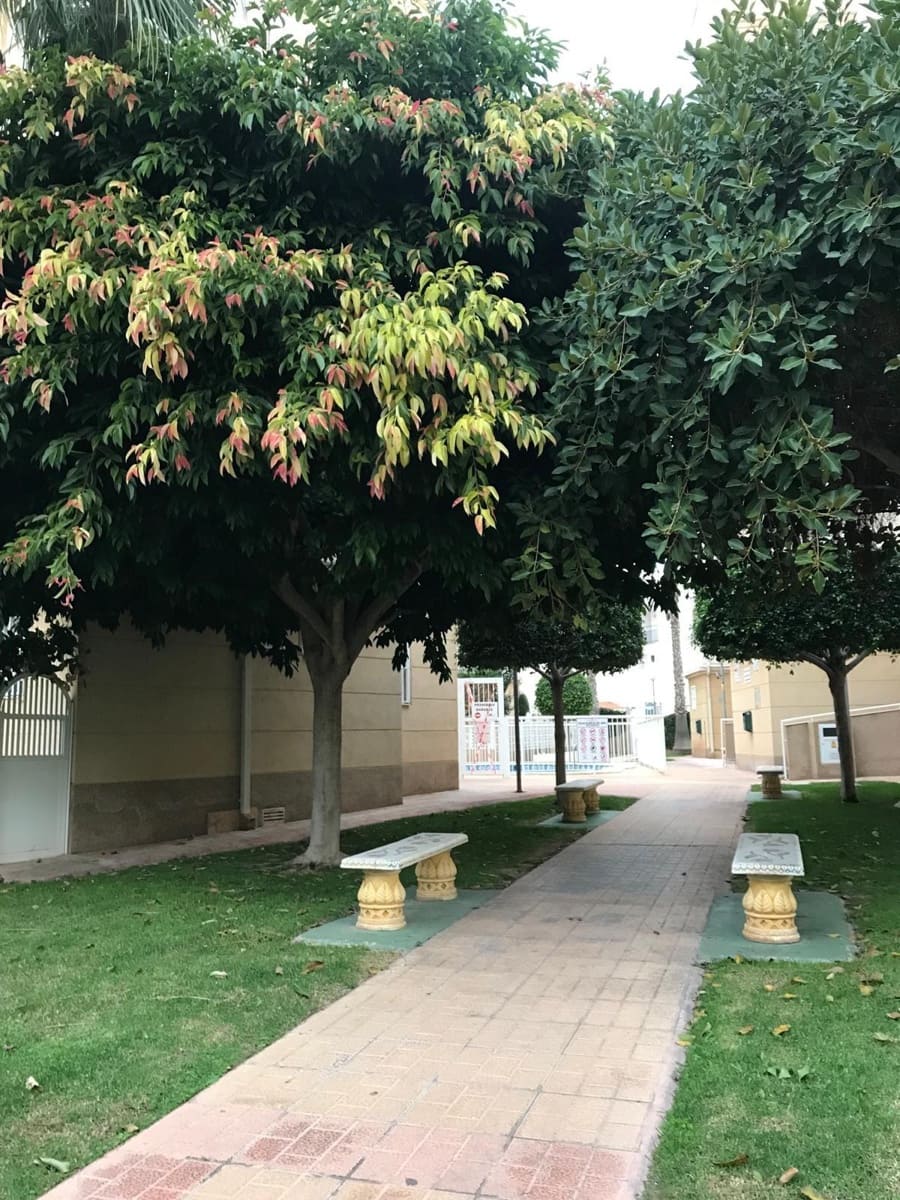 2 sovrum Lägenhet till salu i Torrevieja - 169 900 € (Ref: 9983498)
