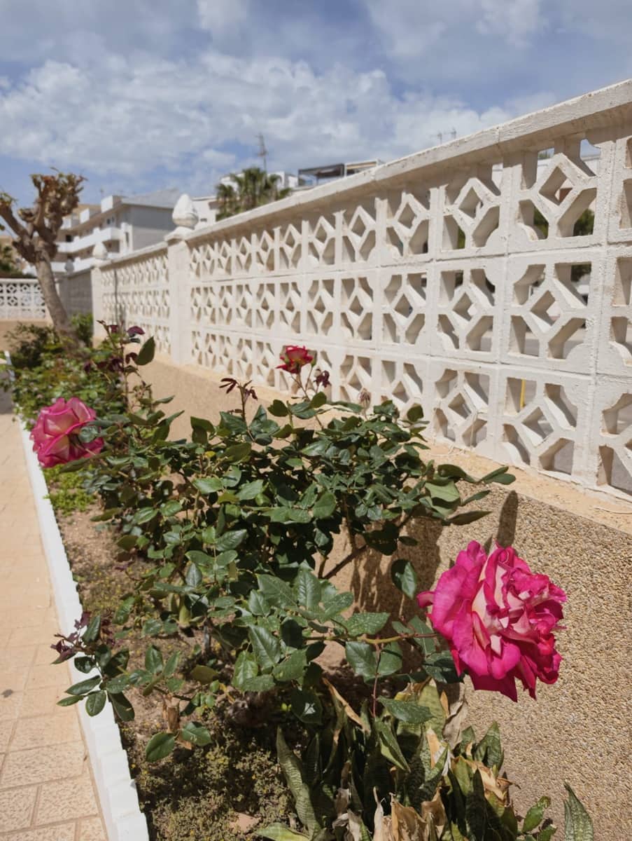 2 sovrum Lägenhet till salu i Torrevieja - 169 900 € (Ref: 9983498)