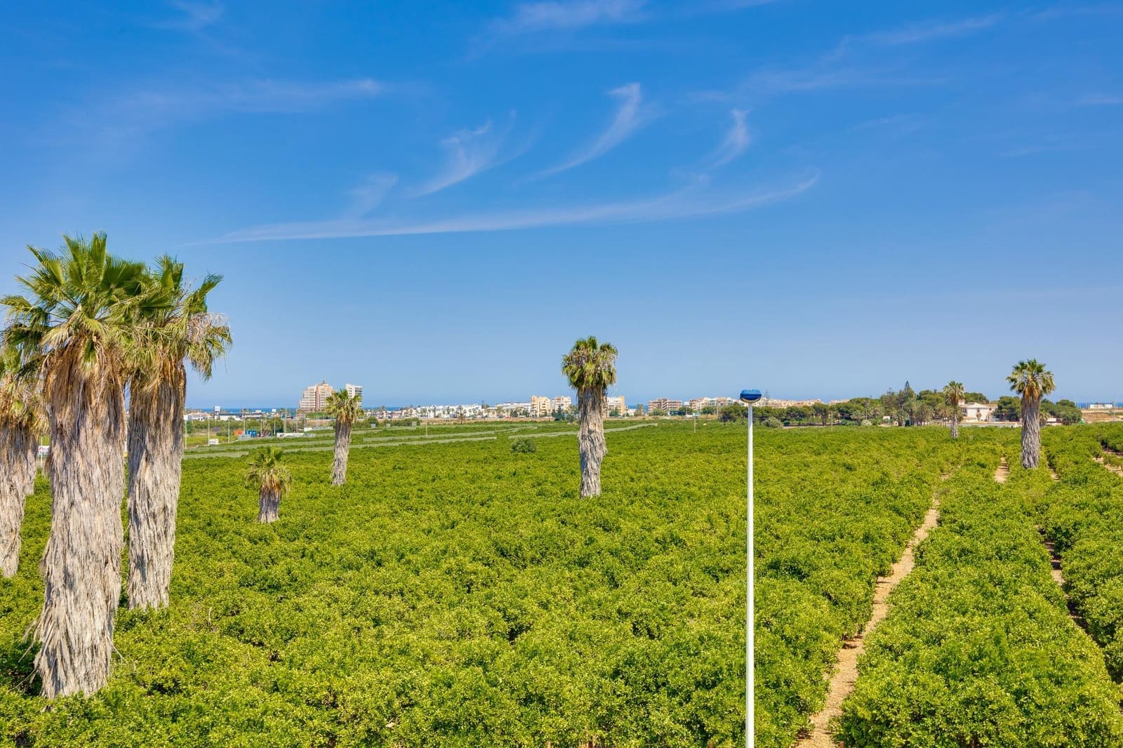 3 soverom Hus til salgs i Los Balcones - € 315 000 (Ref: 9983530)