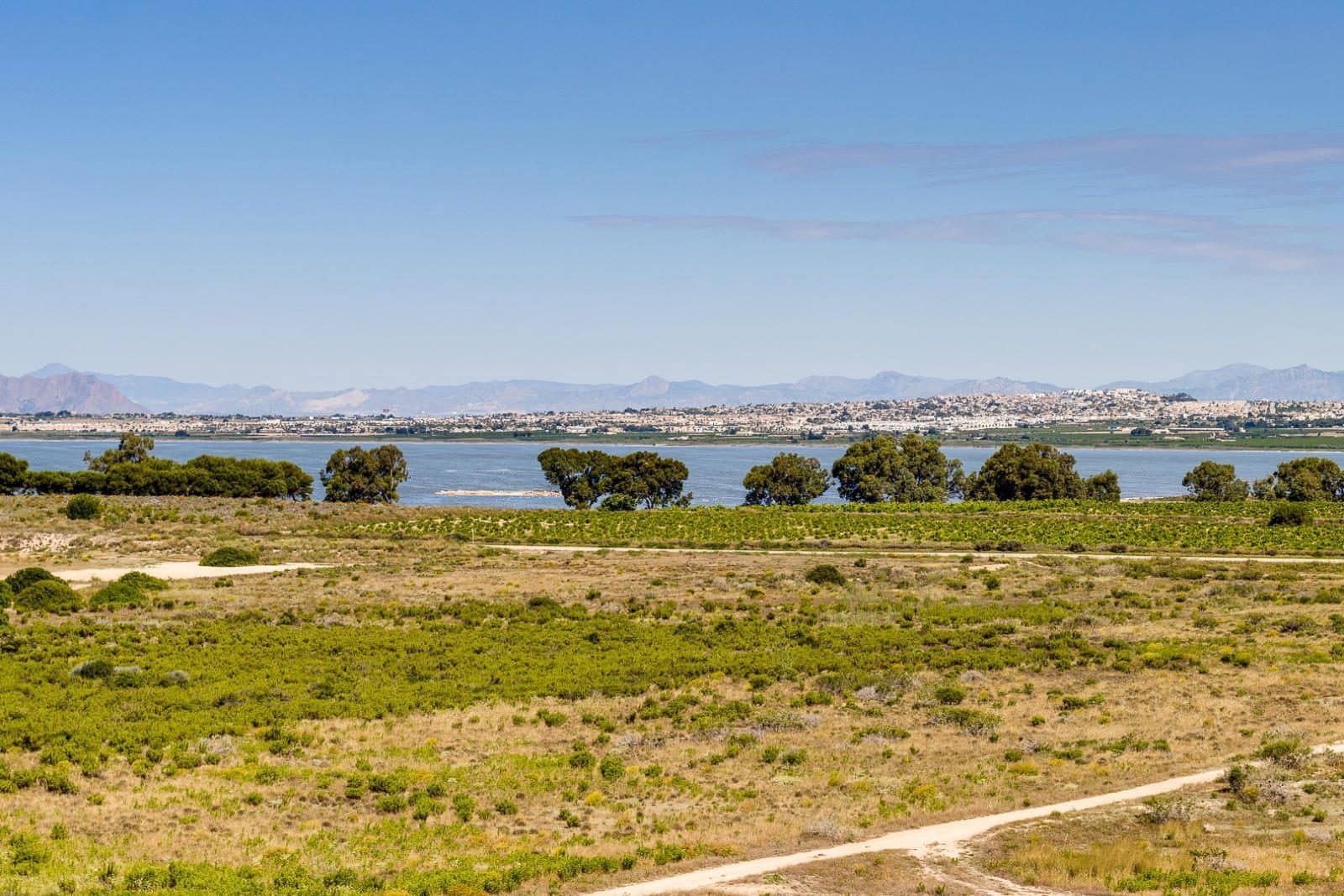 2 quarto Bungalow para venda em Torrevieja - 144 969 € (Ref: 9983714)
