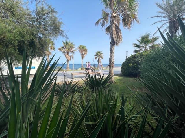 2 soveværelse Erhverv til salg i Centro - Muelle Pesquero, Torrevieja - € 315.000 (Ref: 9986018)