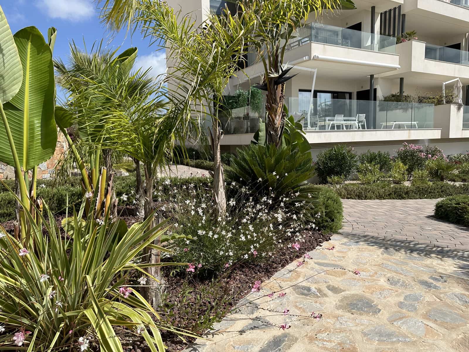 2 slaapkamer Appartement te koop in Las Colinas Golf - € 464.950 (Ref: 9990866)