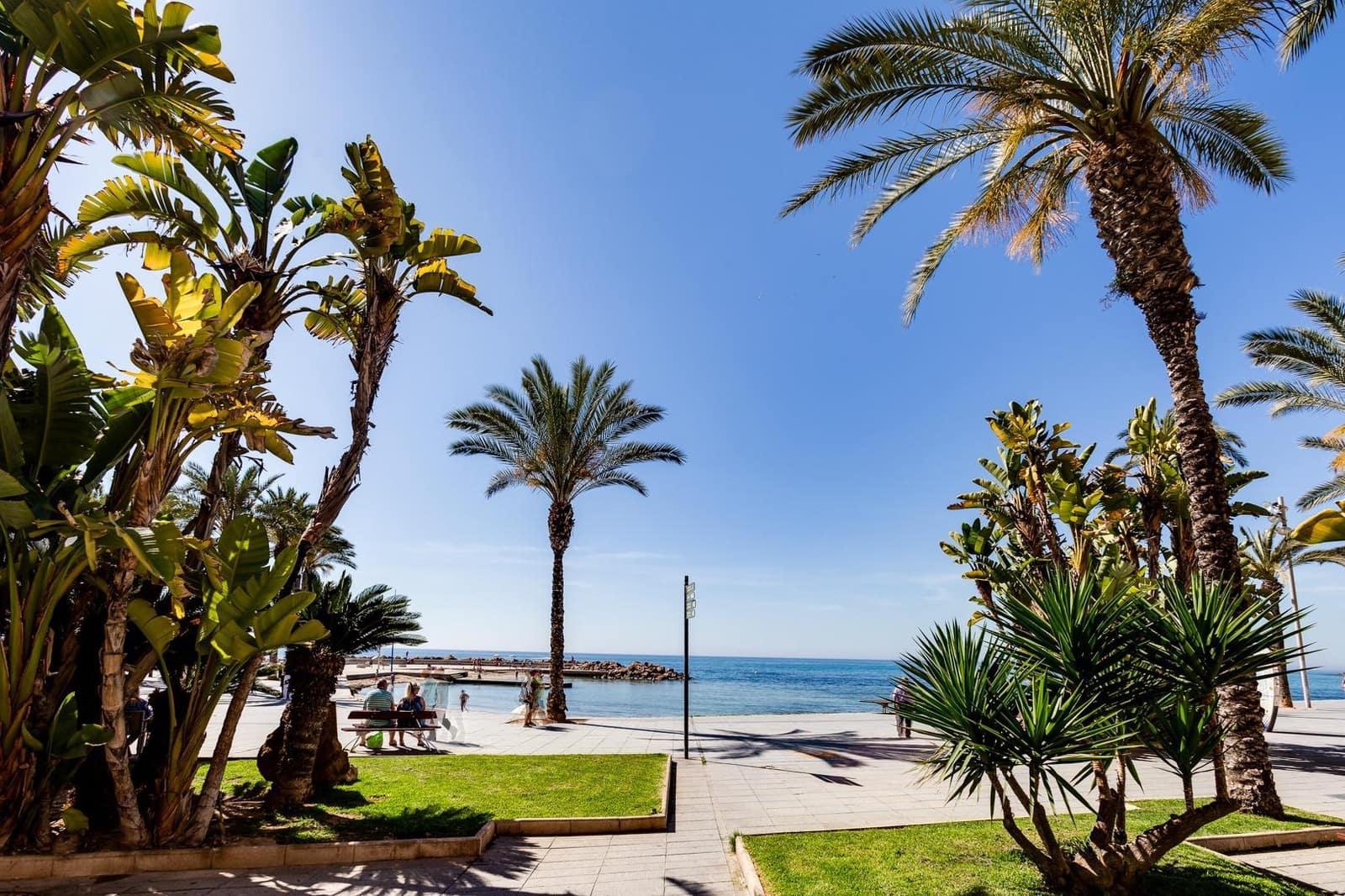 4 soveværelse Lejlighed til salg i Torrevieja - € 195.000 (Ref: 9991881)