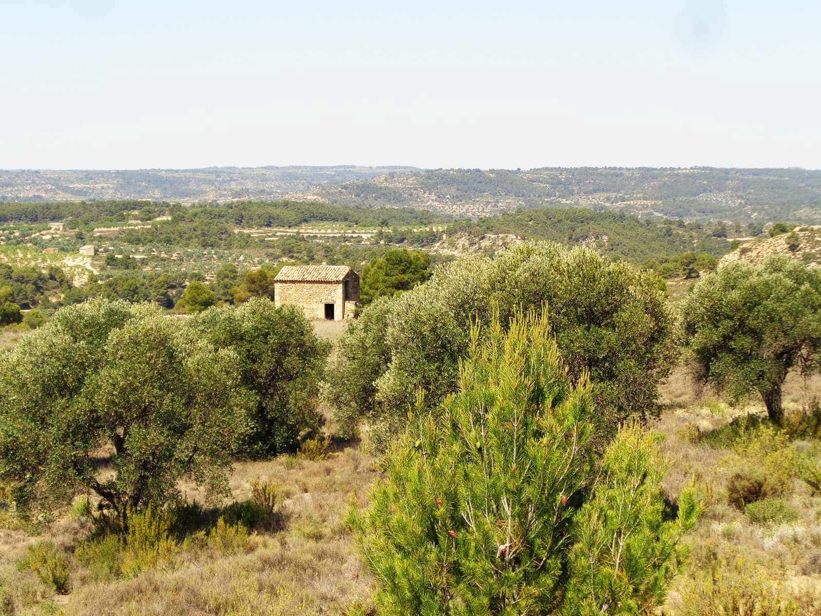 Finca/Maison de Campagne à vendre à Maella - 29 000 € (Ref: 10005919)