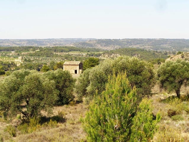 Finca/Maison de Campagne à vendre à Maella - 29 000 € (Ref: 10005919)