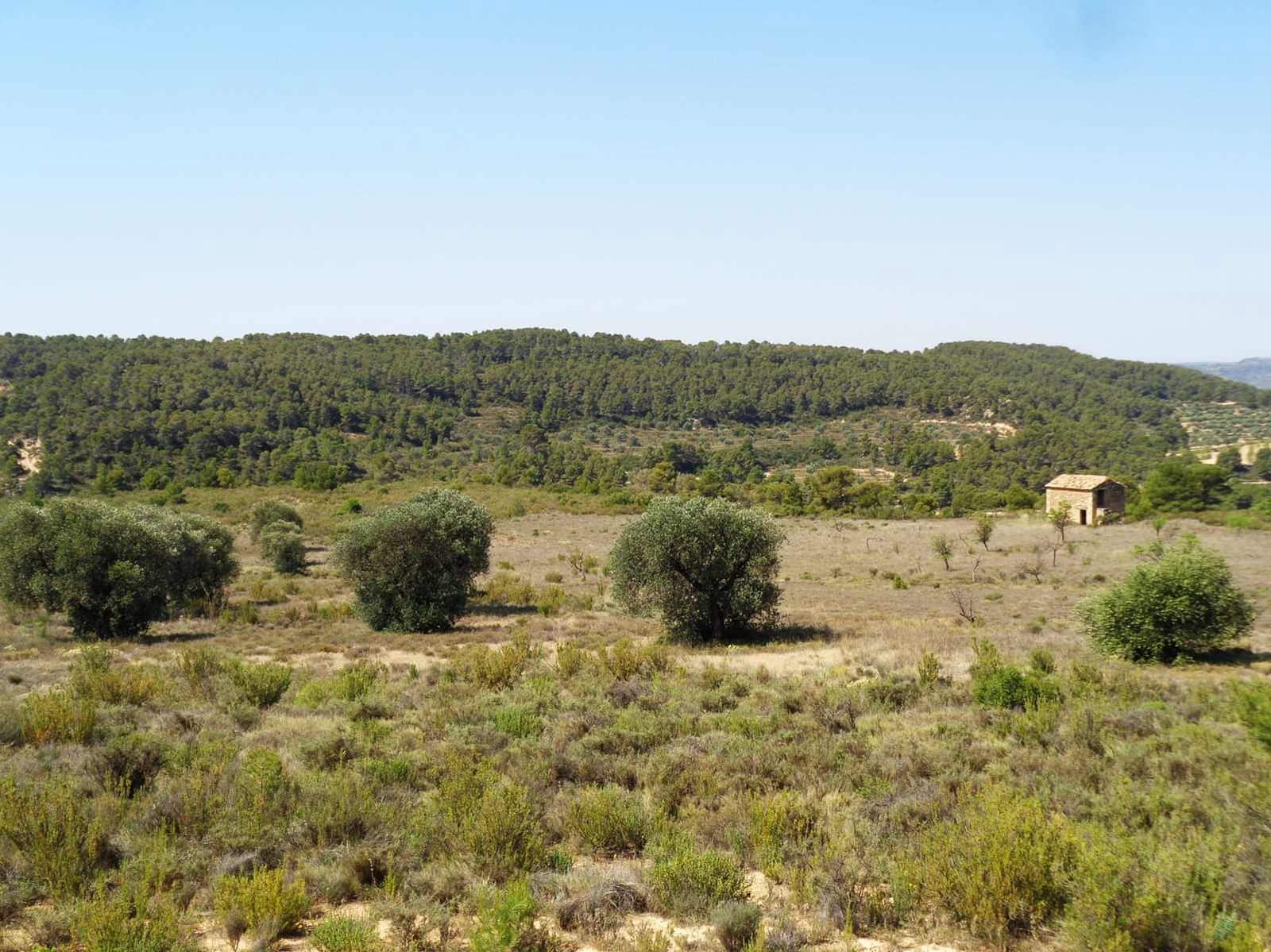 Finca/Maison de Campagne à vendre à Maella - 29 000 € (Ref: 10005919)